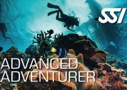 Rubicon Diving | SSI Advanced Adventurer