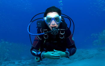 Dive Courses | Become a certified diver