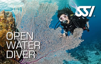 Rubicon Diving | SSI Open Water Diver