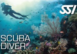 Rubicon Diving | SSI Scuba Diver