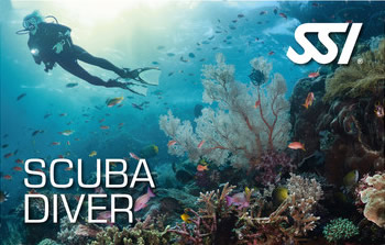 Rubicon Diving | SSI Scuba Diver