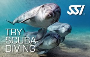 Rubicon Diving | SSI Try Scuba Diving
