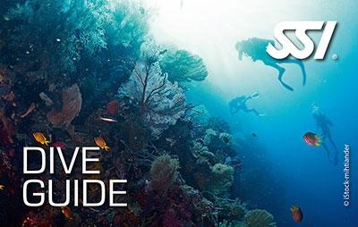 Dive Guide SSI